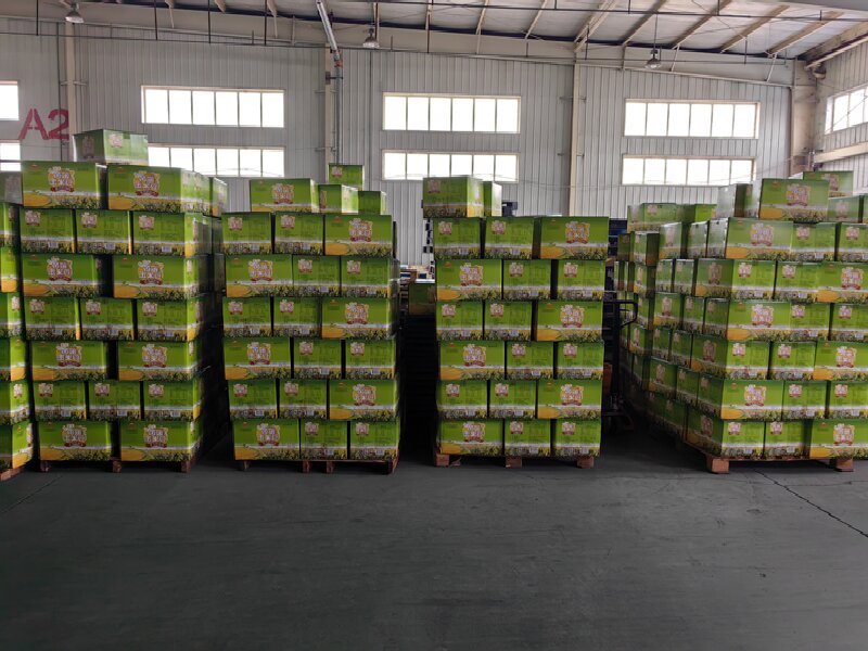 蘇州至興山區(qū)物流公司