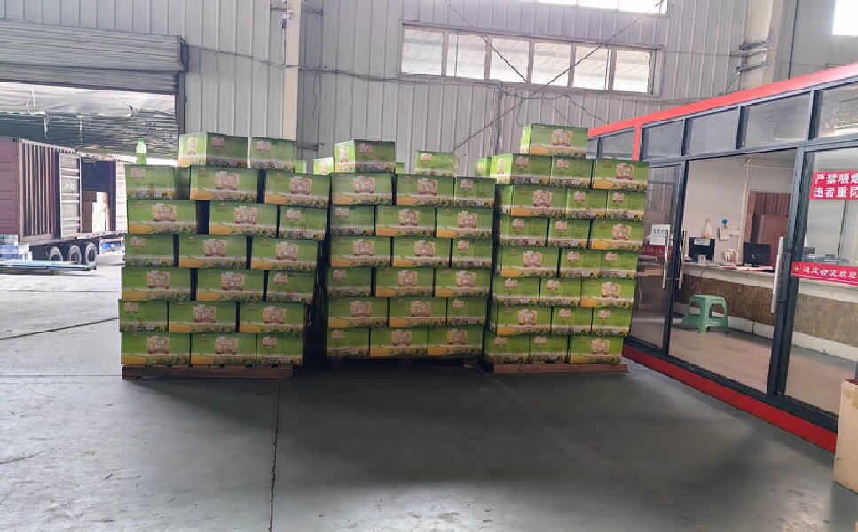 蘇州到臨海物流公司